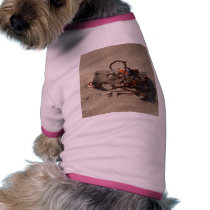 Seaweed Sand Beaches pet clothing