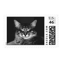 Sebastian Cat Stamps