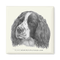 Sebastian, English Springer Spaniel Fridge Magnet