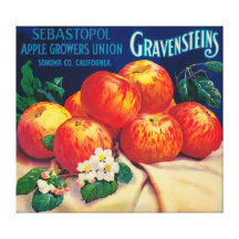 Sebastopol Gravensteins Apple LabelSonoma, CA Canvas Print