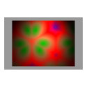 Sebing posters