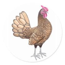 Sebright Bantam Rooster Round Stickers