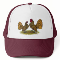 Sebright Bantams:  Golden Hats