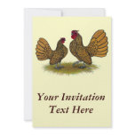 Sebright Bantams:  Golden Custom Announcements