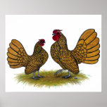 Sebright Bantams:  Golden Print