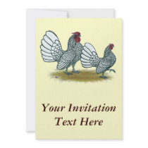 Sebright Bantams:  Silver Invitations