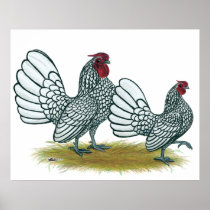 Sebright Bantams:  Silver Poster