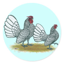 Sebright Bantams:  Silver Round Sticker