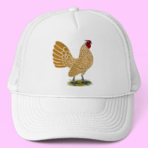 Sebright:  Buff-laced Rooster hats