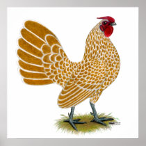Sebright:  Buff-laced Rooster Posters