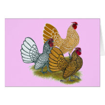Sebright Rooster Assortment Cards
