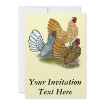 Sebright Rooster Assortment Custom Announcements