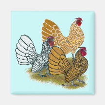 Sebright Rooster Assortment Magnet