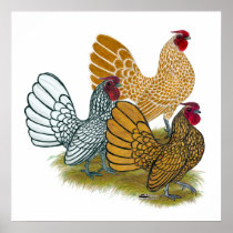 Sebright Rooster Assortment Posters