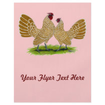 Sebrights Buff Laced Flyer
