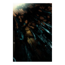 Seclude posters