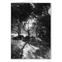 Seclusion Card
