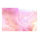 Seclusion posters