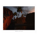 Seclusion posters