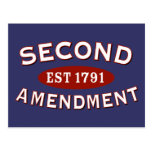 second amendment, bill of rights, 2nd amendment, right to bear arms, gun rights, gun control, gun owner, second amendment shirt, second amendment text, gun control policy