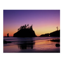 Second Beach at Twilight, Olympic NP, WA, USA Post Cards