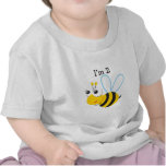 second+birthday+baby+boy, second+birthday+baby+gir t-shirt