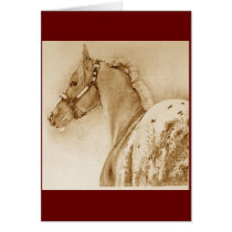 "Second Look" Appaloosa Card by Spaziani "Second Look" Appaloosa Card