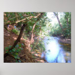 Secret Falls Feeder posters