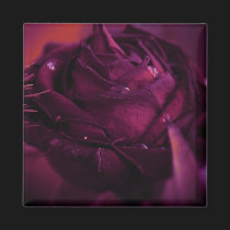 » secret garden five (magnet) « by arisuart » secret garden five (magnet) «
