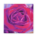» secret garden four (magnet) « by arisuart » secret garden four (magnet) «