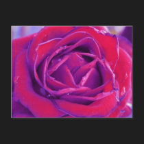» secret garden four (postcard) « by arisuart » secret garden four (postcard) «