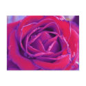 » secret garden four (postcard) « by arisuart » secret garden four (postcard) «
