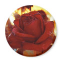 » secret garden one (magnet) « by arisuart » secret garden one (magnet) «