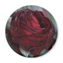 » secret garden two (magnet) « by arisuart » secret garden two (magnet) «
