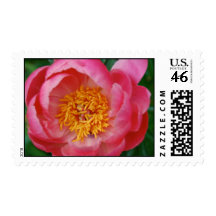 Secret Heart Stamp