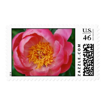 Secret Heart Stamp