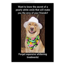Secret of a Great Smile cards by myrtieshuman Secret of a Great Smile cards