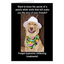 Secret of a Great Smile Greeting Cards
