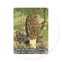 Secret of the Morel Hunter Stickers