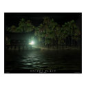 Secret Place posters