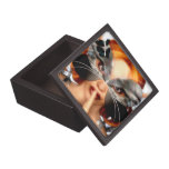 'Secret' Premium Gift Box