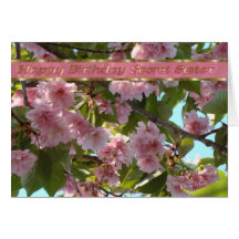 Secret Sister B-day-customize wording Greeting Card
