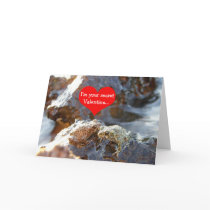 Secret Valentine Toads cards by poetphoto Secret Valentine Toads cards