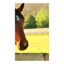 Secretariat's Great Grandaughter Poster
