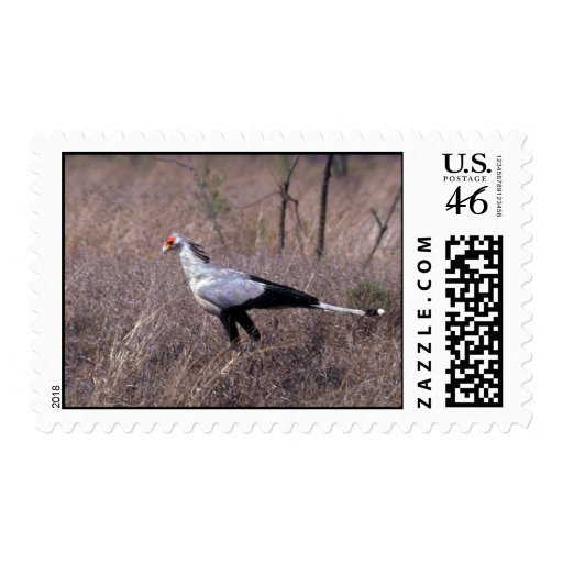 Secretary Bird Postage Stamps