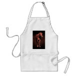 Secretrock the horse aprons