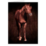 Secretrock the horse greeting cards