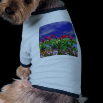 Secret's Garden pet clothing