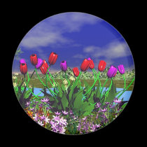 Secret's Garden magnets