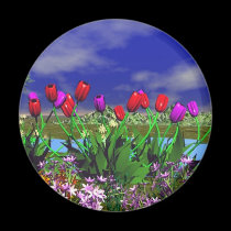 Secret's Garden magnets